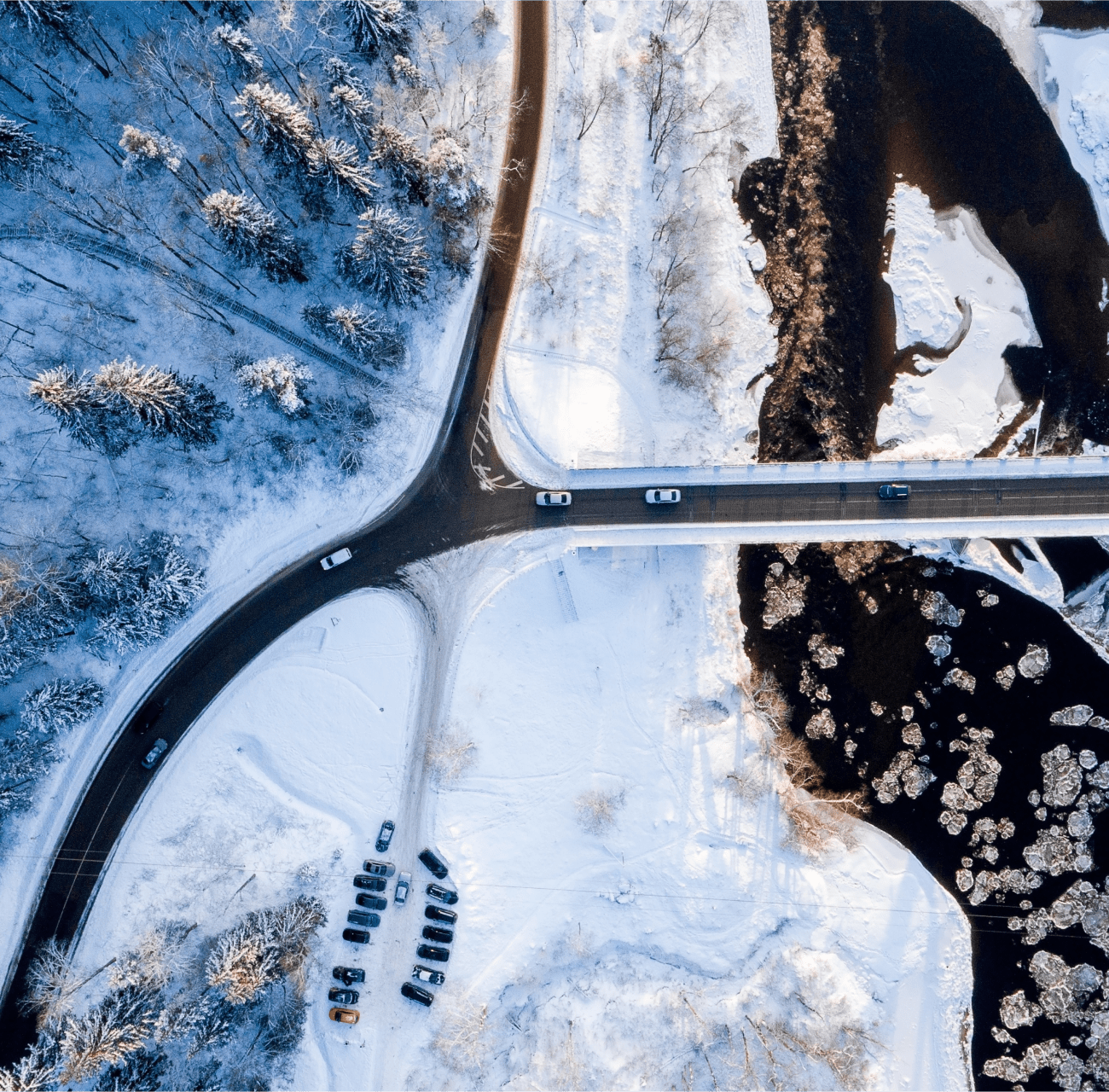 Software Performance Testing