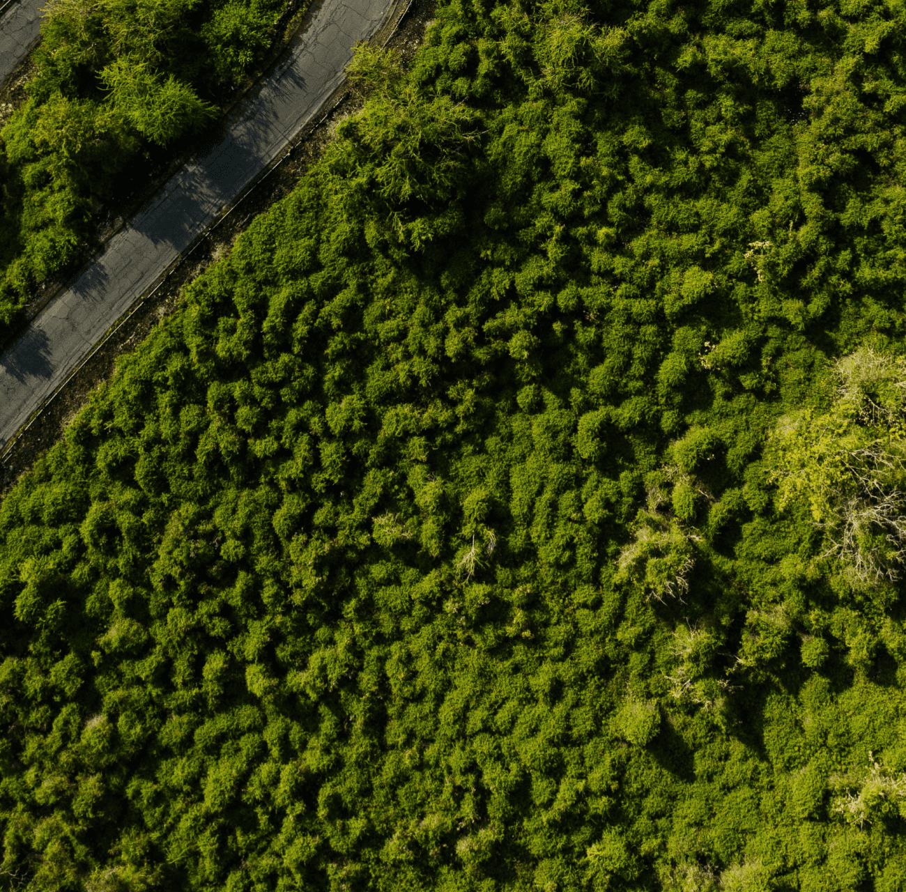 Software Test Strategy