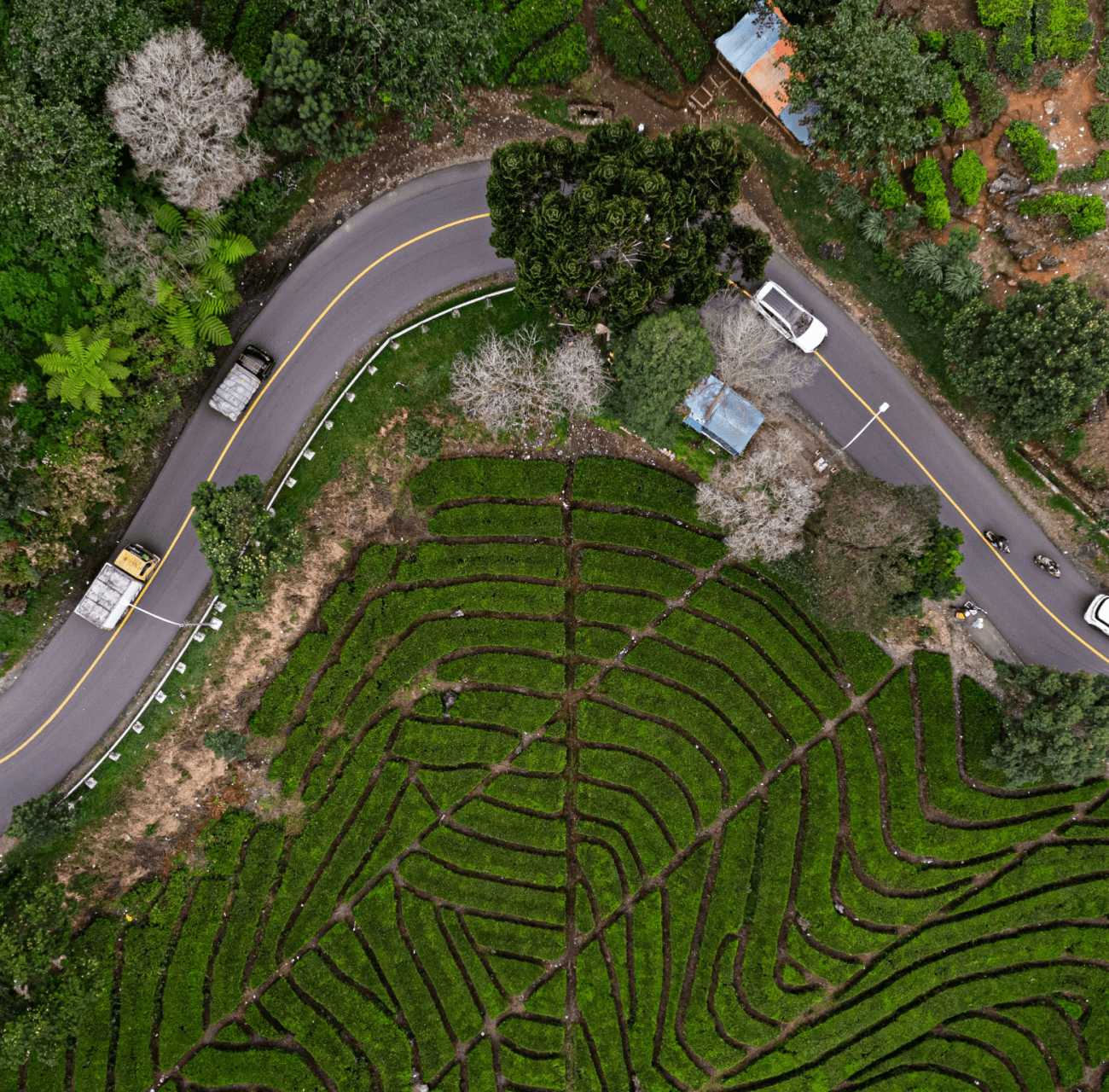 End-To-End Testing vs. Regression Testing