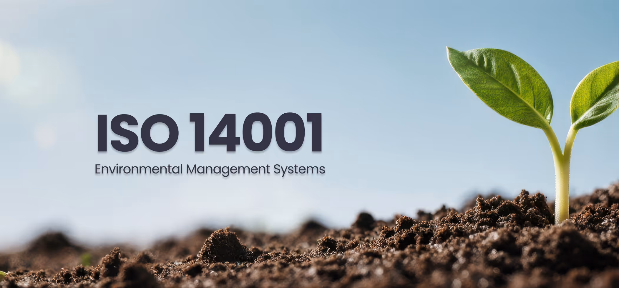Young green plant sprouting from soil under clear blue sky with text ISO 14001 Environmental Management Systems.