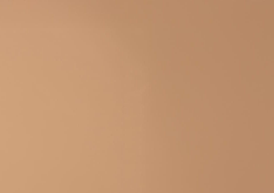 Brunt teksturert bakgrunn uten distinkte mønstre eller objekter.