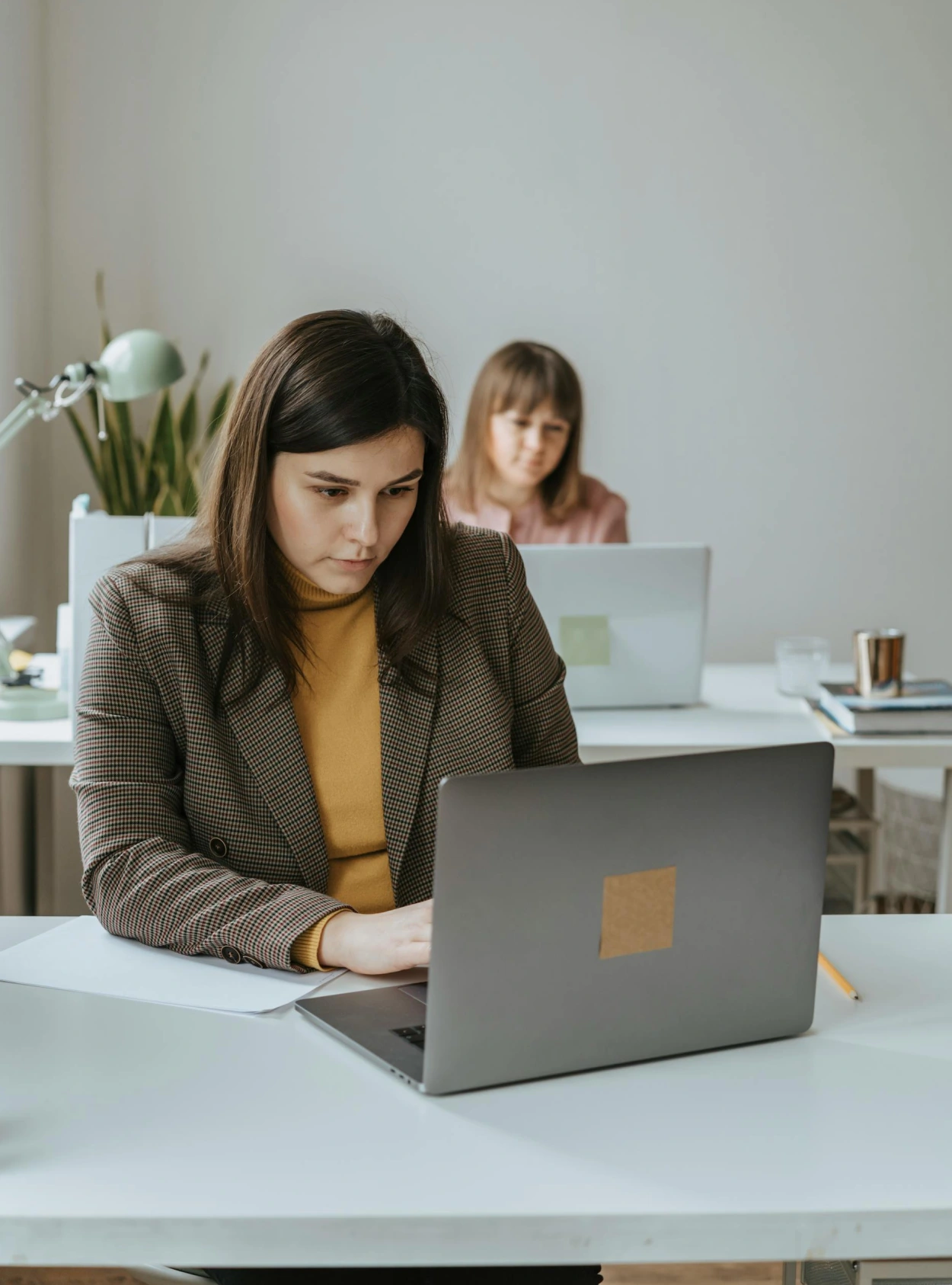 Sriveo-home-one-search-for-opportunities-image