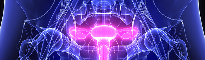 Histerossalpingografia: Exame, preço, onde fazer?