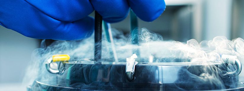 Quando e por que buscar óvulos doados?