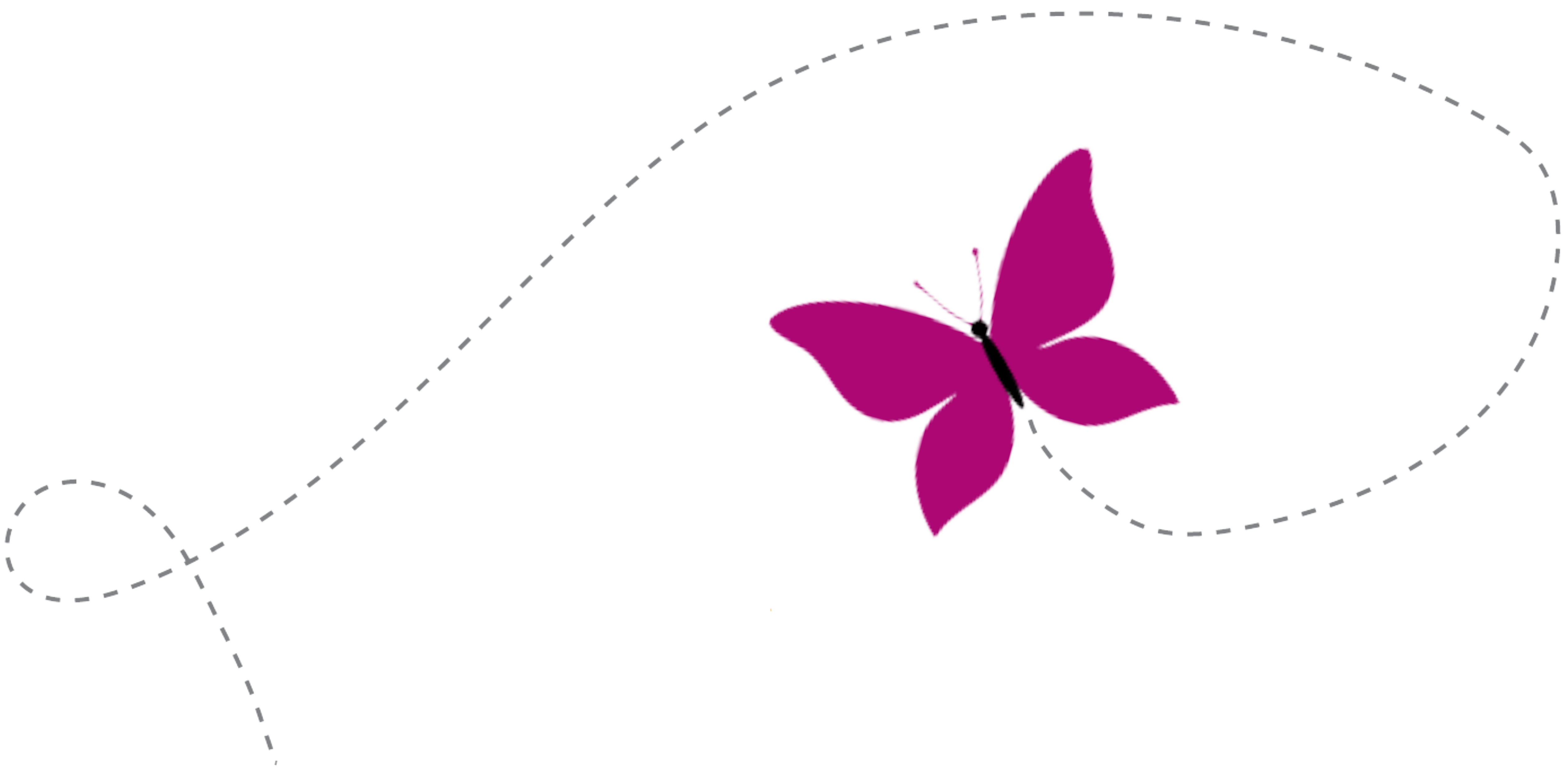 ASCEND study: Flying Butterfly Image