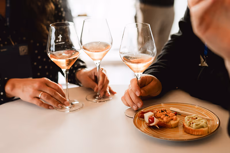 B2Coast Wine tour featuring local Dalmatian vineyards