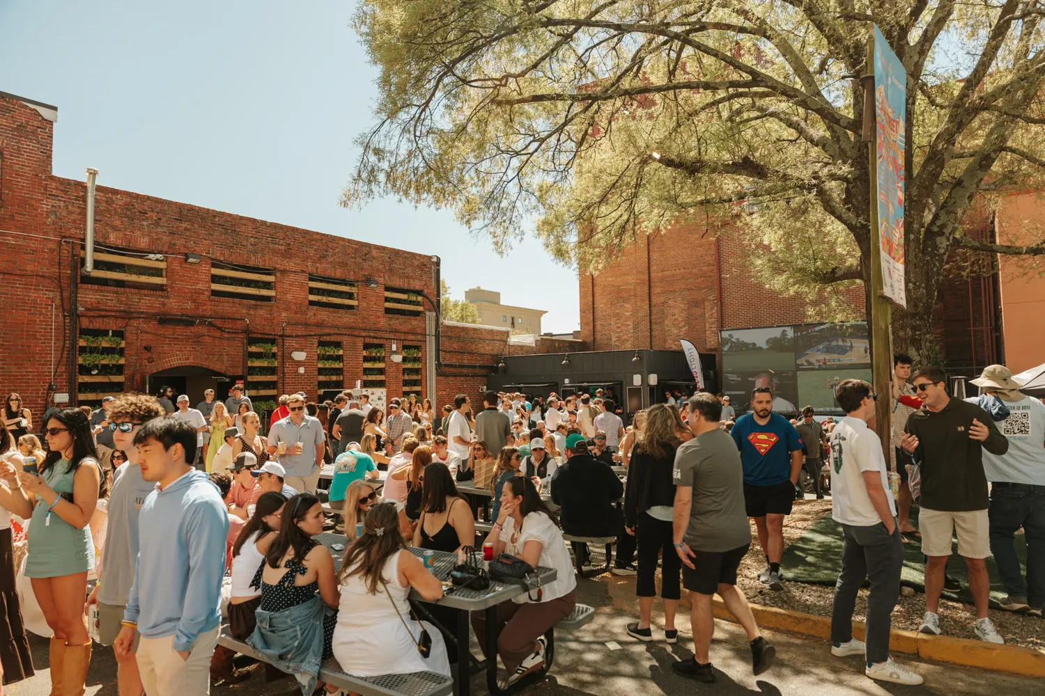 Crowd of people socializing outdoors near brick buildings on a sunny day under a large tree.