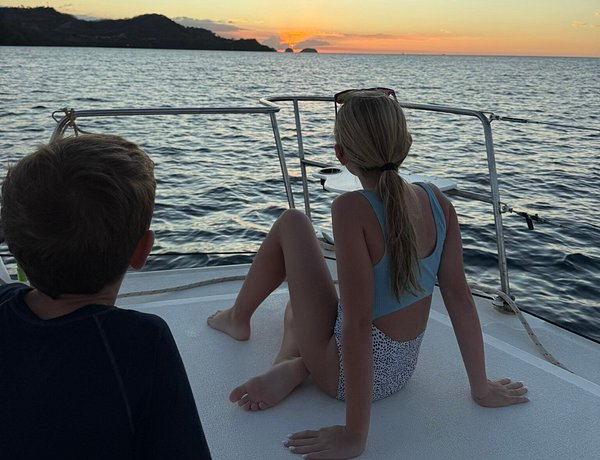 image of music fans at concert