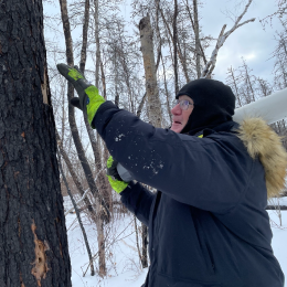 A Sakitawak Guardian examining a tree in the winter