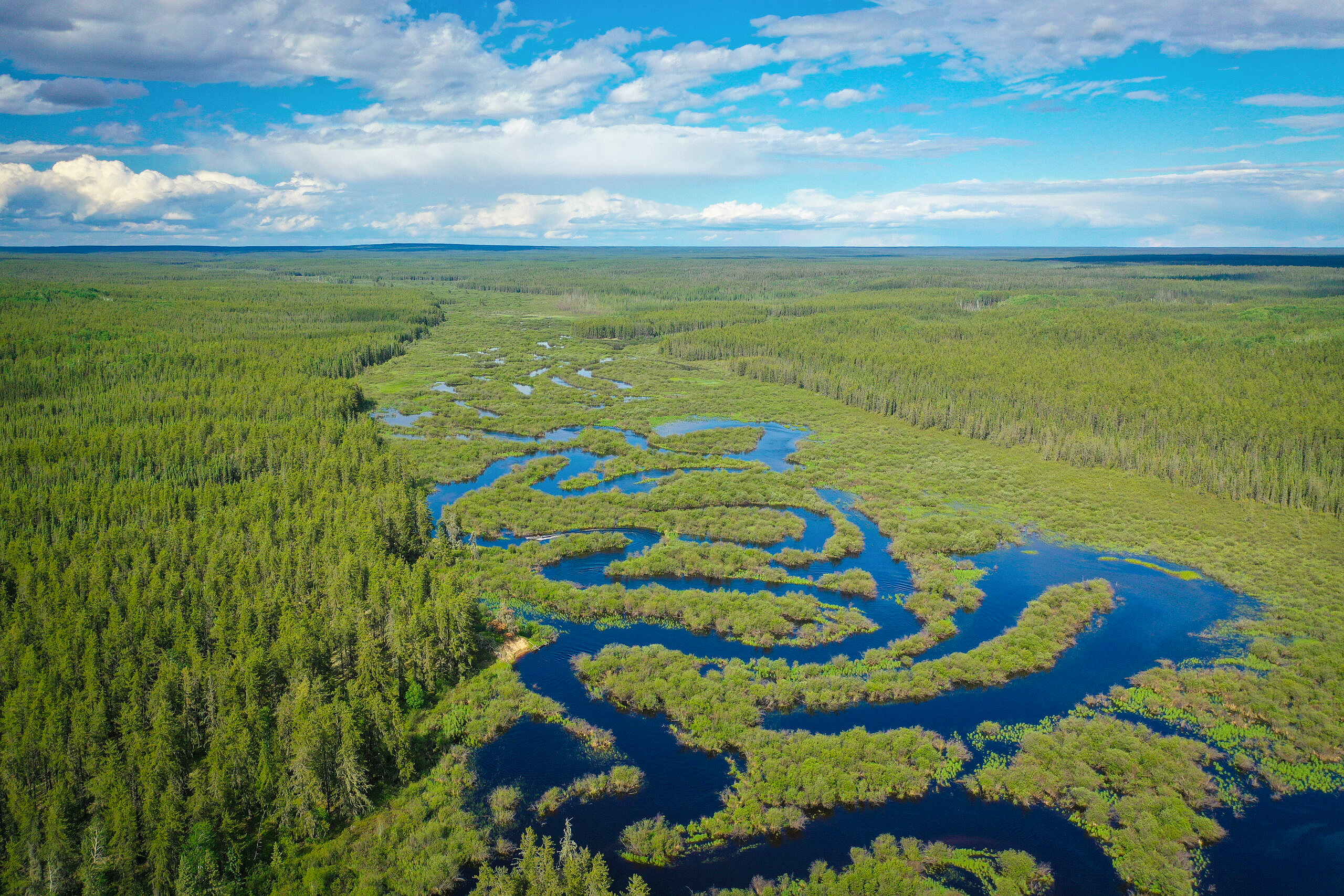 Aerial view of Canoe River
