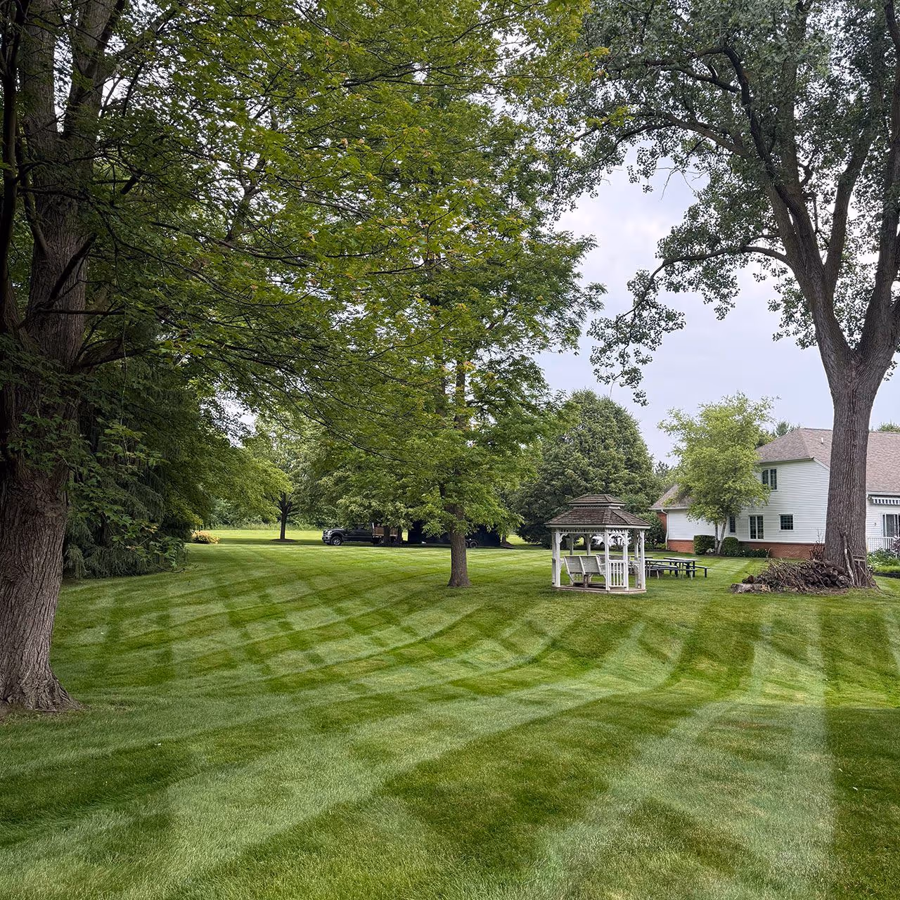 Freshly mowed backyard lawn near me by JMS Property Management.