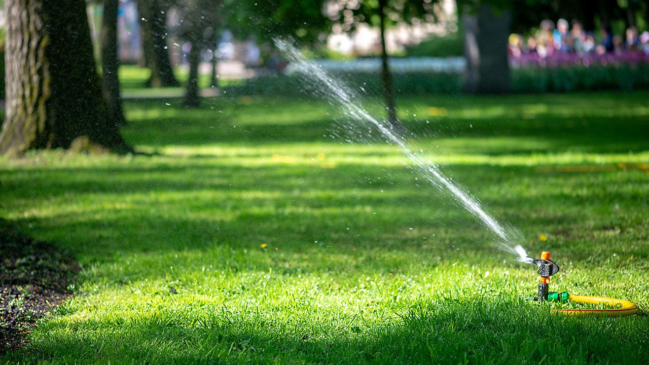 Irrigation Service and Repair near me by JMS Property Management.