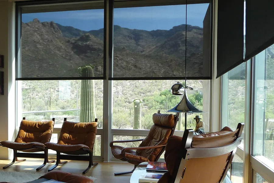 Modern living room with brown leather chairs and floor-to-ceiling windows showing a desert landscape with cacti and mountains.