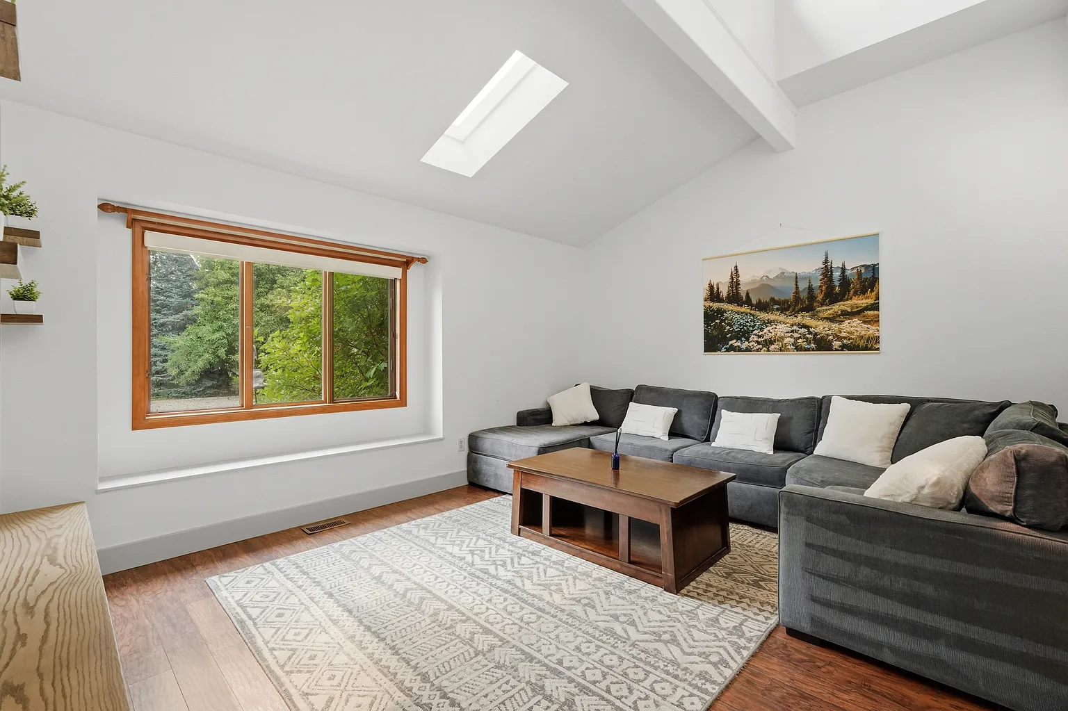 Professional home cleaning for your living room
