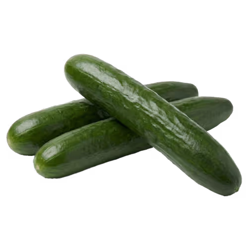 Organic Cucumber