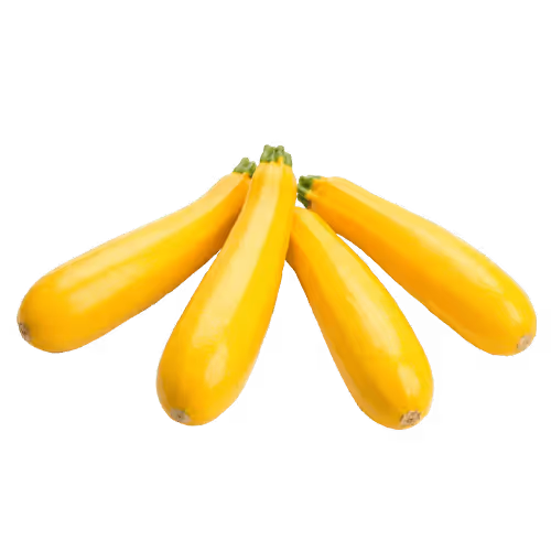Yellow Squash