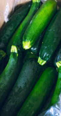Zucchinis