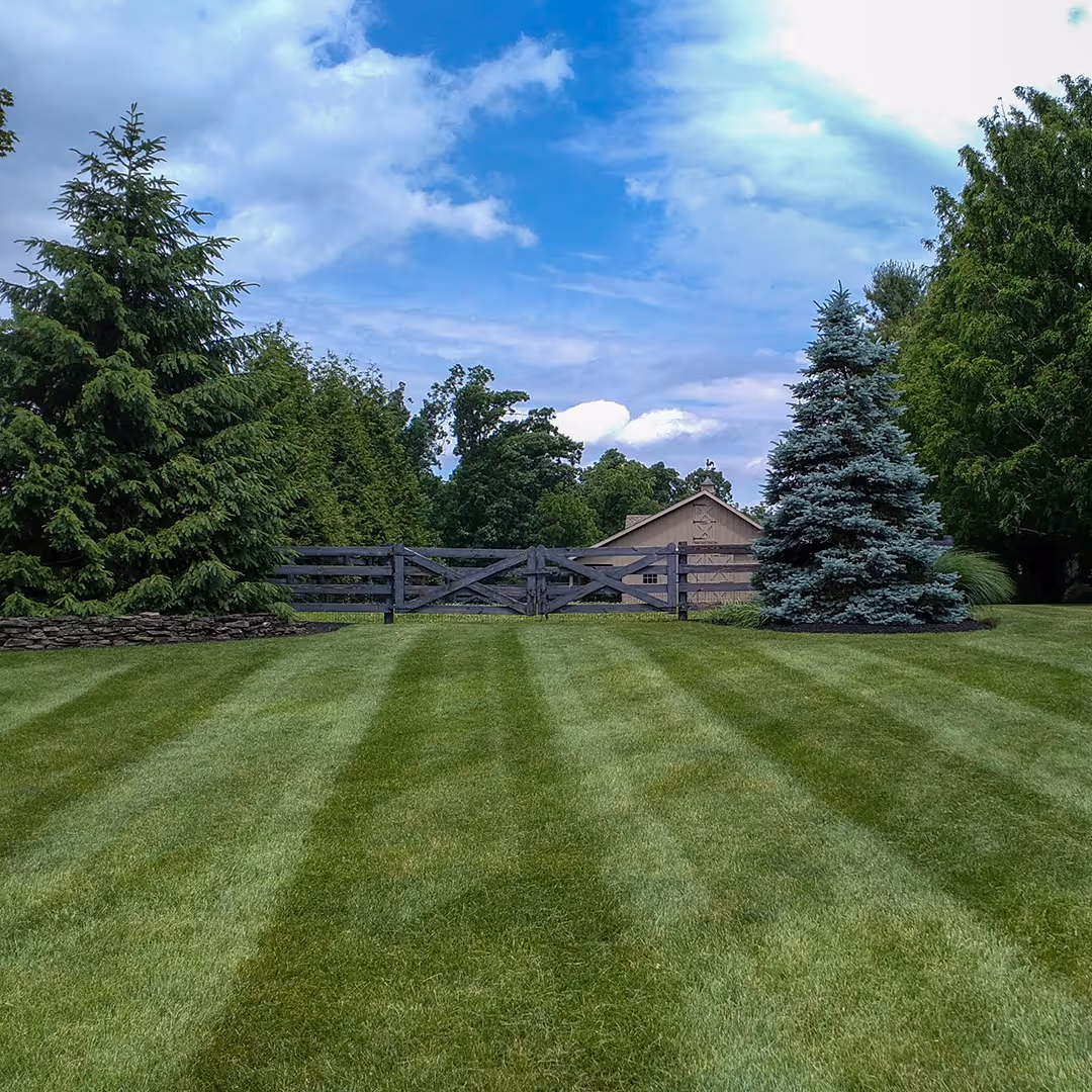 Well maintained residential lawn in Carmel, IN