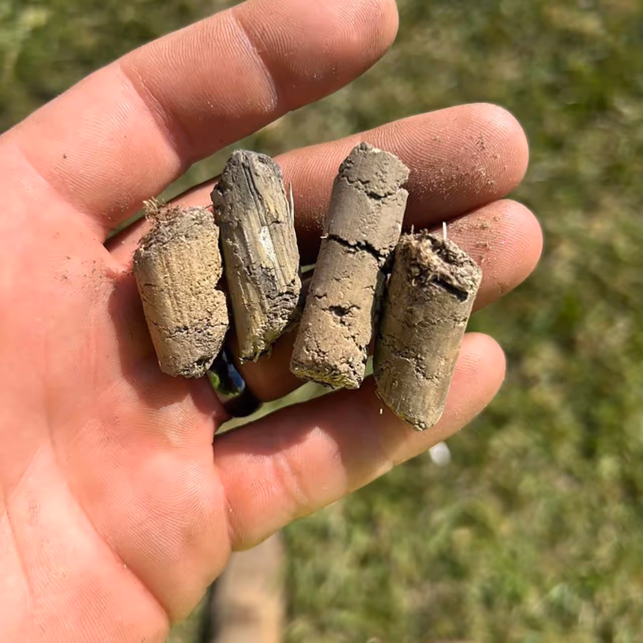 Aeration Cores for fresh nutrients and spring growth by Envy Turf Lawn Care.