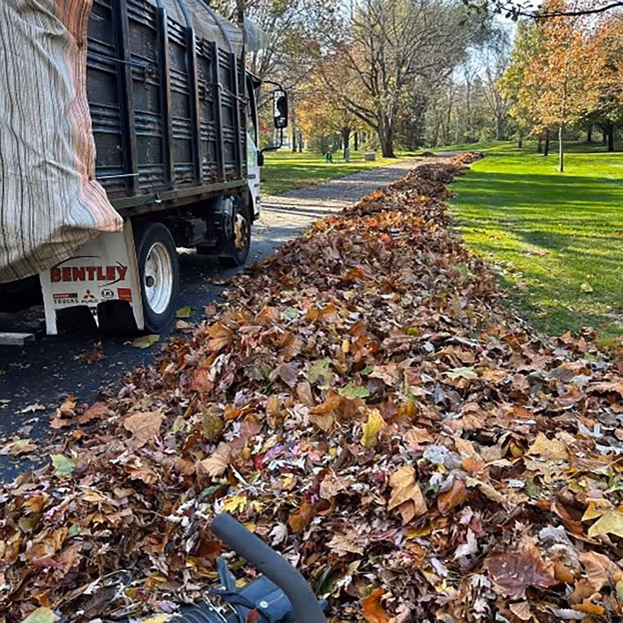 Leaf removal and fall services in Carmel, Indiana