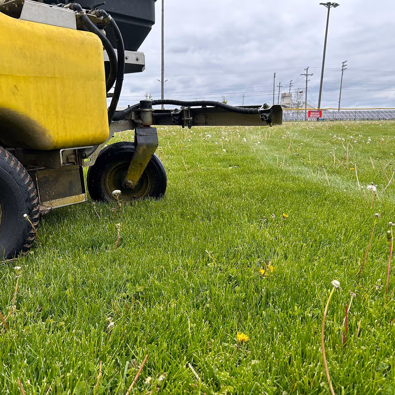 Professional property services for homes and businesses in Central Indiana