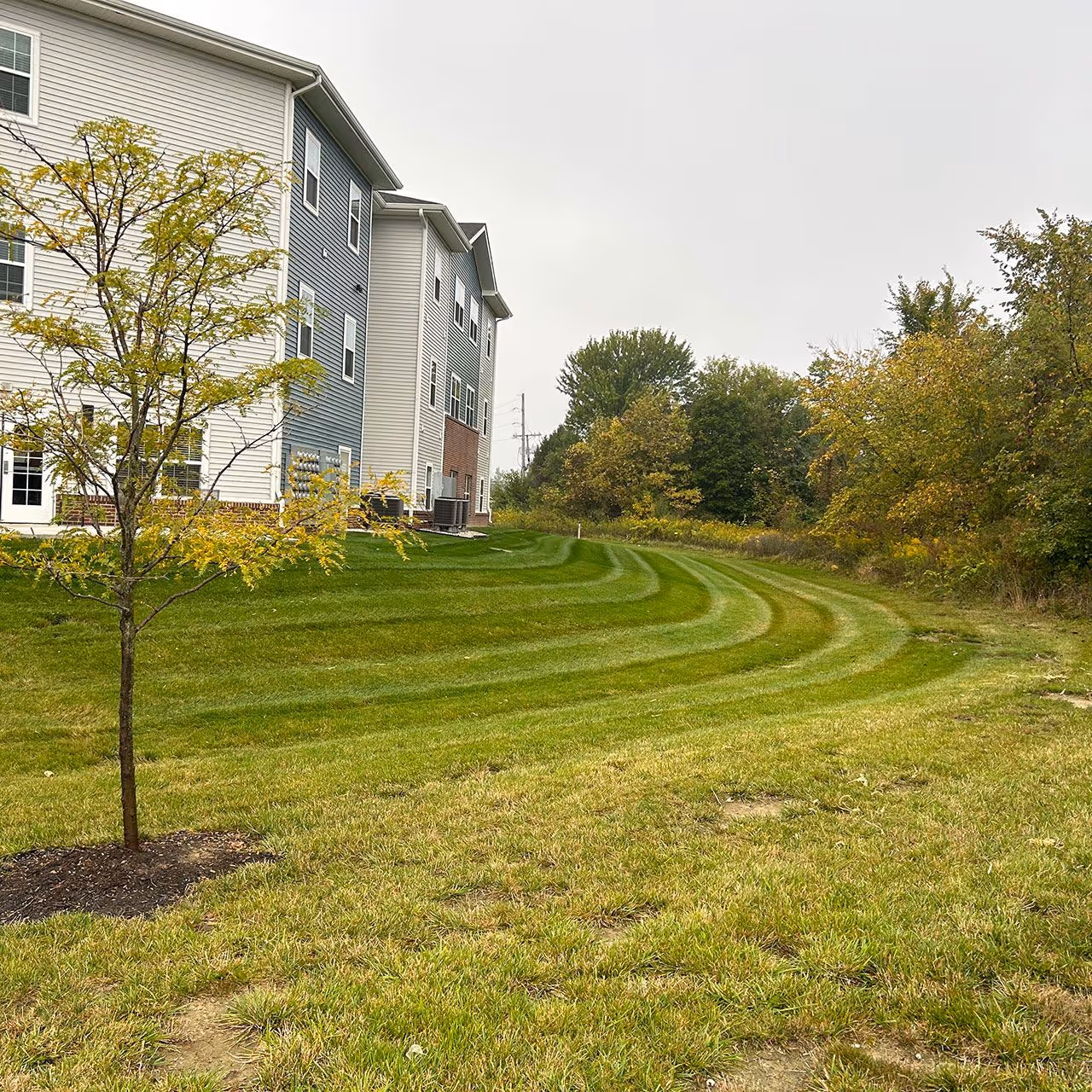 Residential landscaping improvements near me
