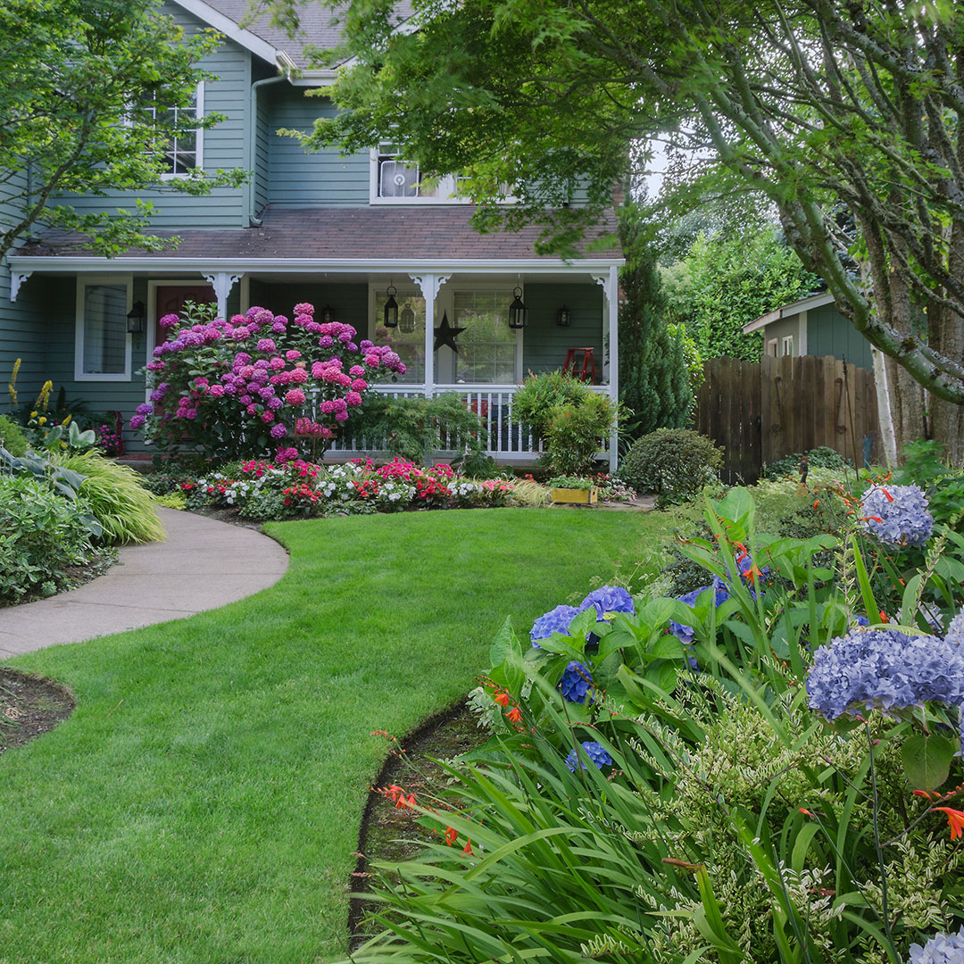 Professional lawn care services by Envy Turf Lawncare in Central Indiana