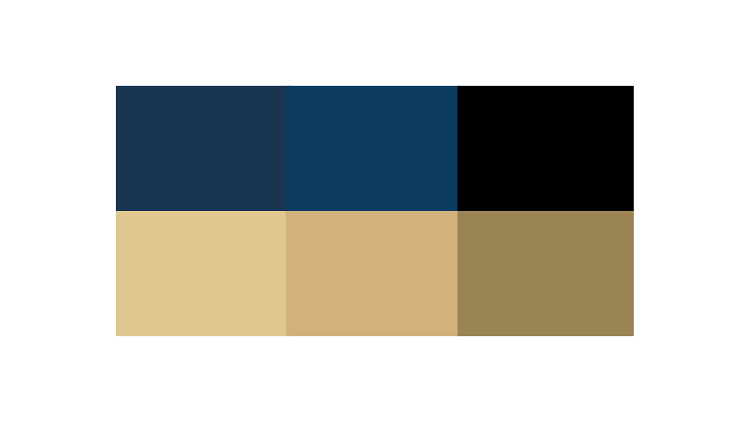 Cartier Wealth color palette