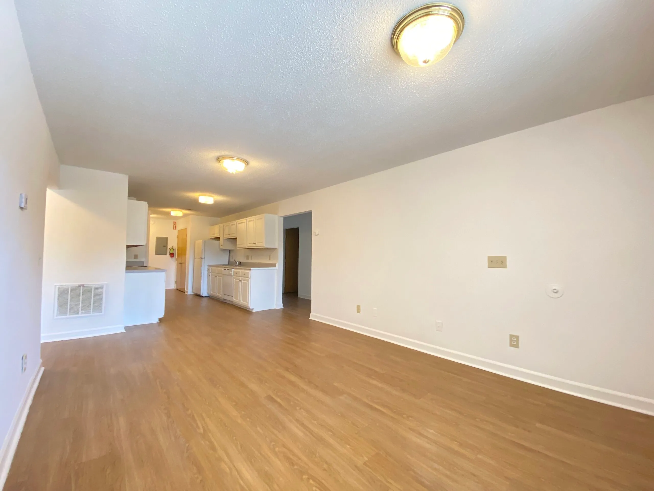 Living room to kitchen