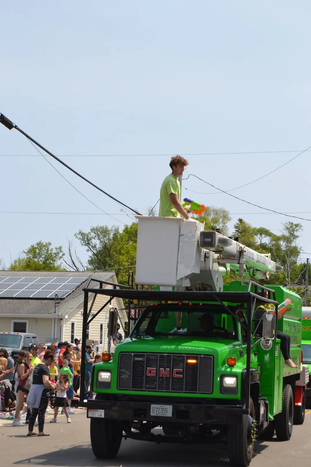 Close-up picture of how fast garlic mustard can spread.