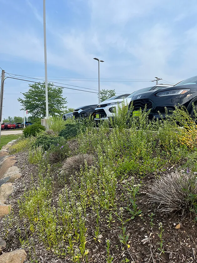 A commercial outdoor space before Turf and Tree Worx landscape services 