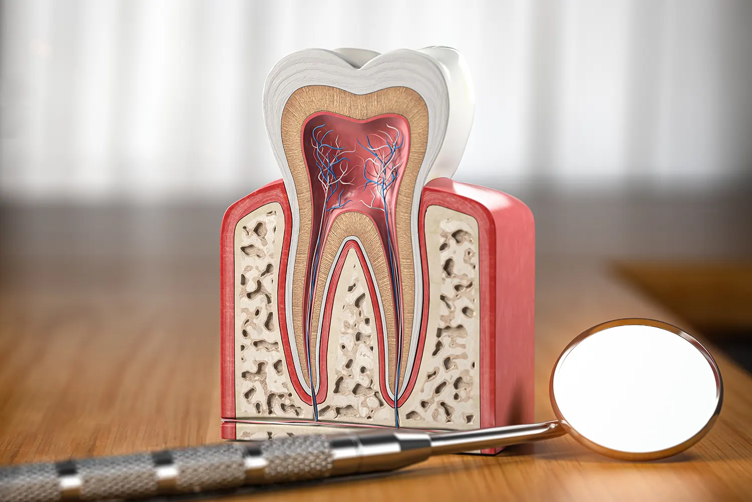 Root canals | Express Dental Studio
