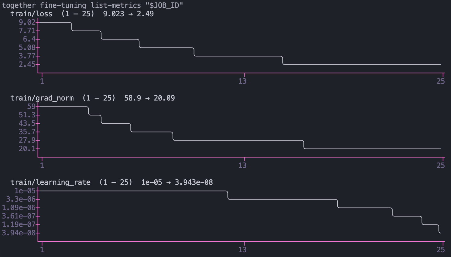 Terminal running together fine-tuning list-metrics, plotting loss, gradient norm and learning rate in place.