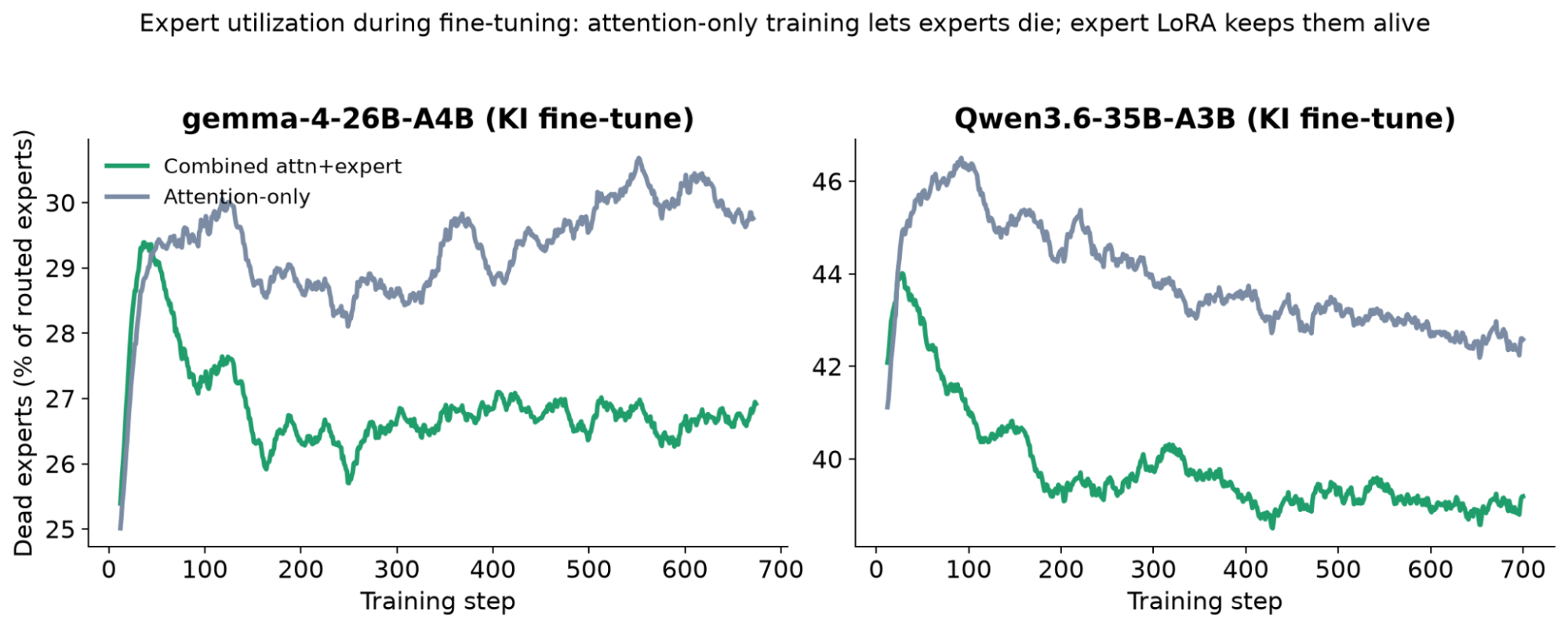 Line chart of dead experts as a share of routed experts across training steps: attention-only training lets experts die while expert LoRA keeps them engaged.