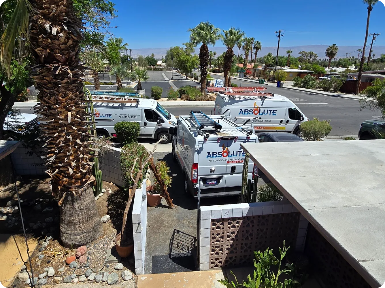 Three white Absolute air conditioning and heating service vans parked near a residential street with palm trees and desert landscaping.