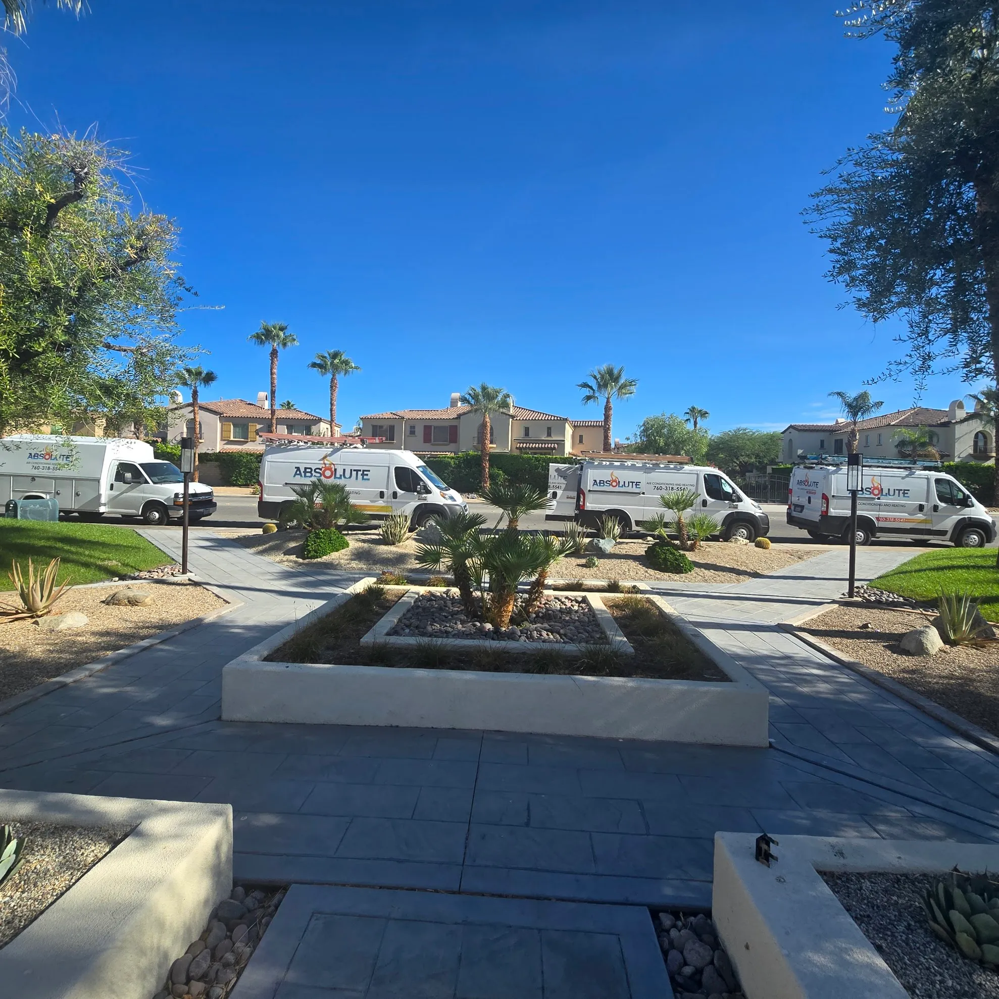 Four white Absolute service vans parked along a residential street with palm trees and desert landscaping under a clear blue sky.