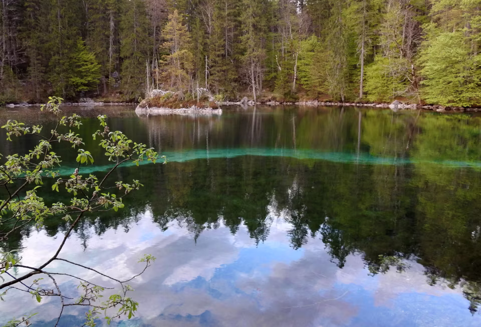 Klarer See mit Spiegelung von Bäumen und Himmel, umgeben von dichtem Wald.