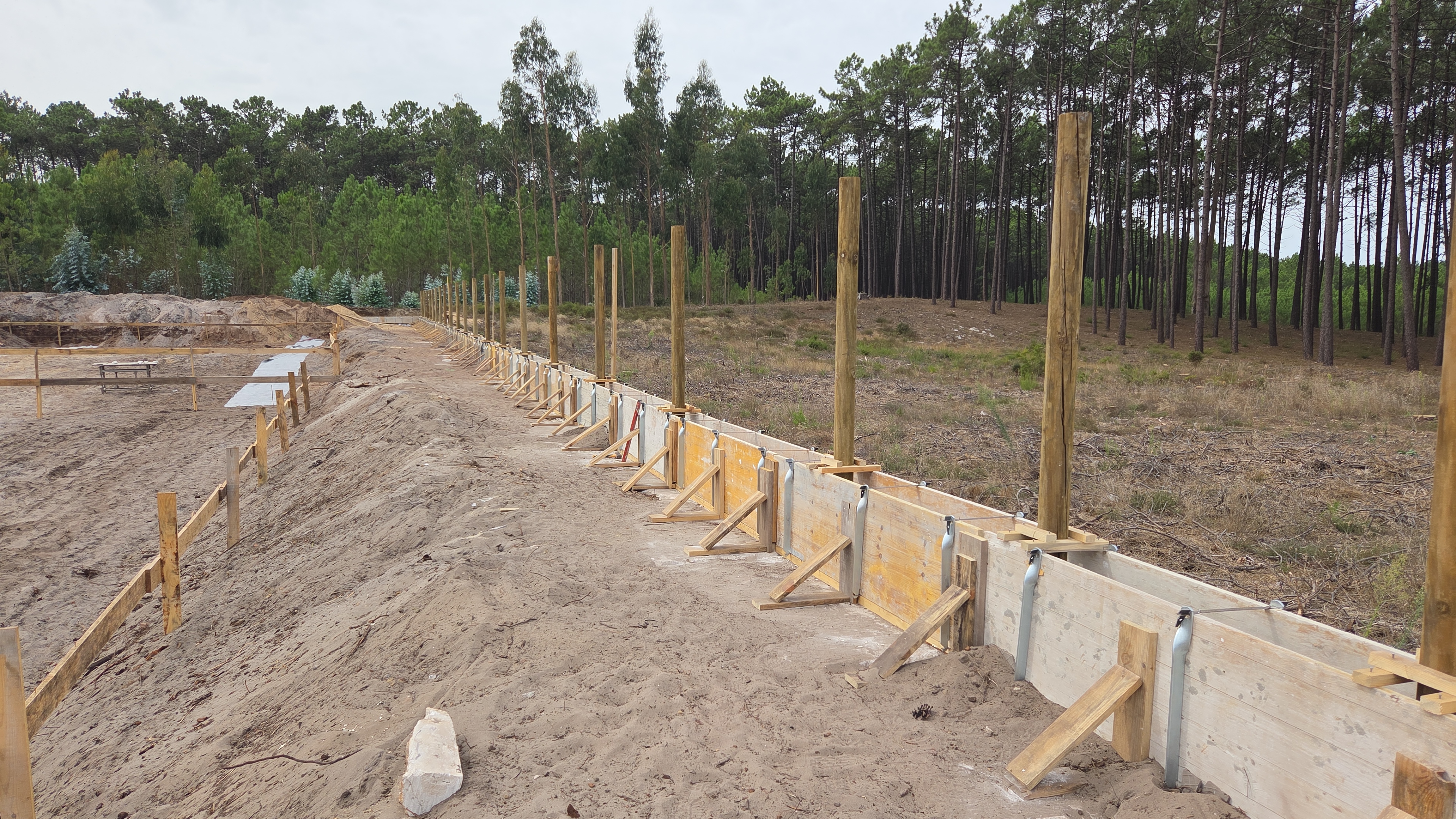 D. Dinis Pine Forest Condominium