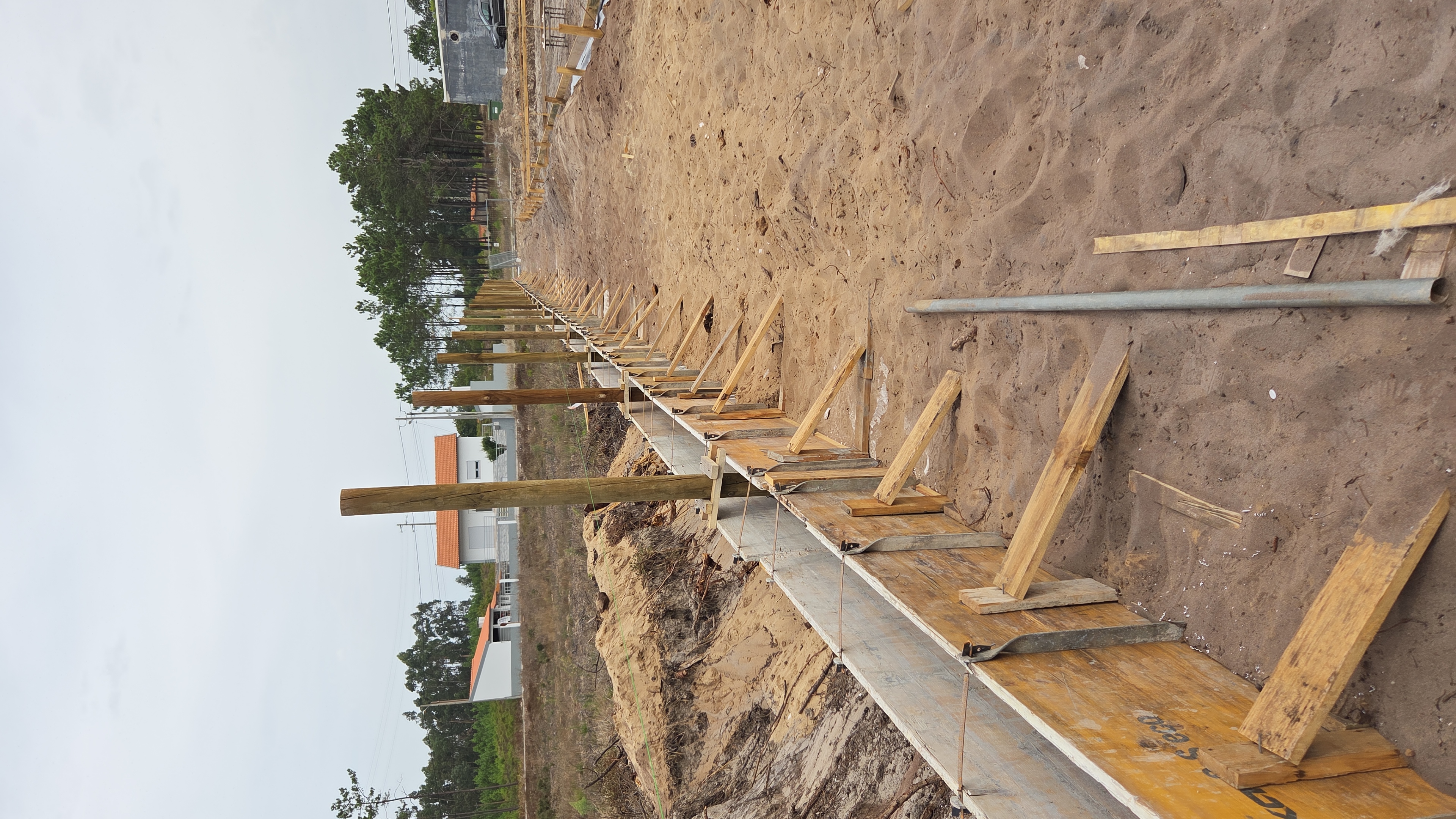 D. Dinis Pine Forest Condominium