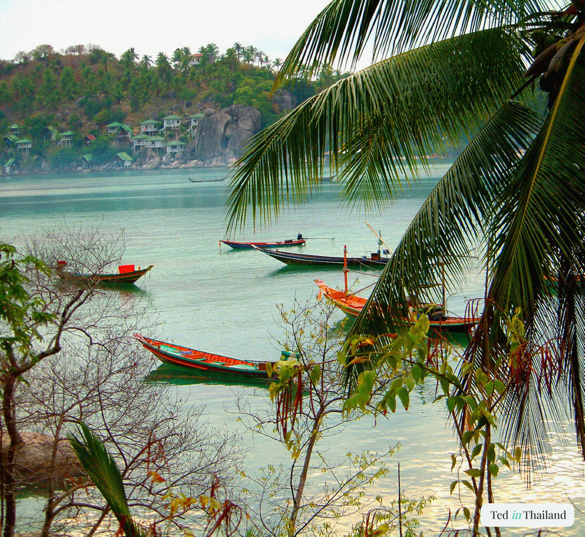 chalokbankao beach Koh Tao Thailand