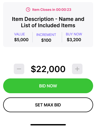 Item Description: Name and LIst of Included Items for Bid
