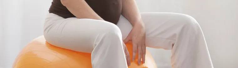 Pelvic Floor Therapy