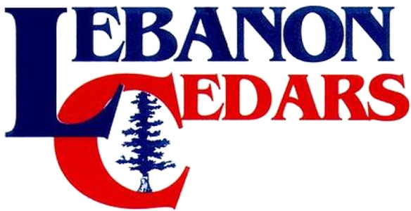 Lebanon Senior High School logo