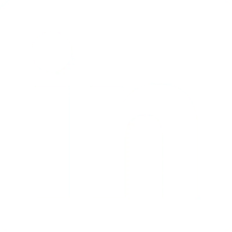 icona Linkedin