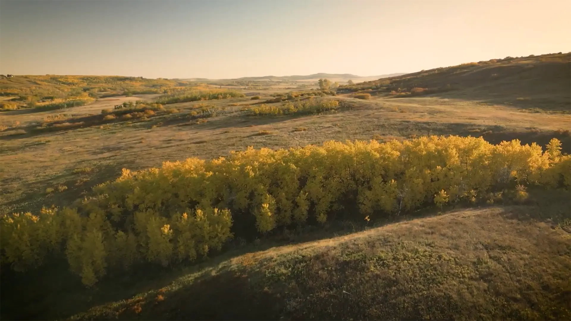 Outland team in field hero image