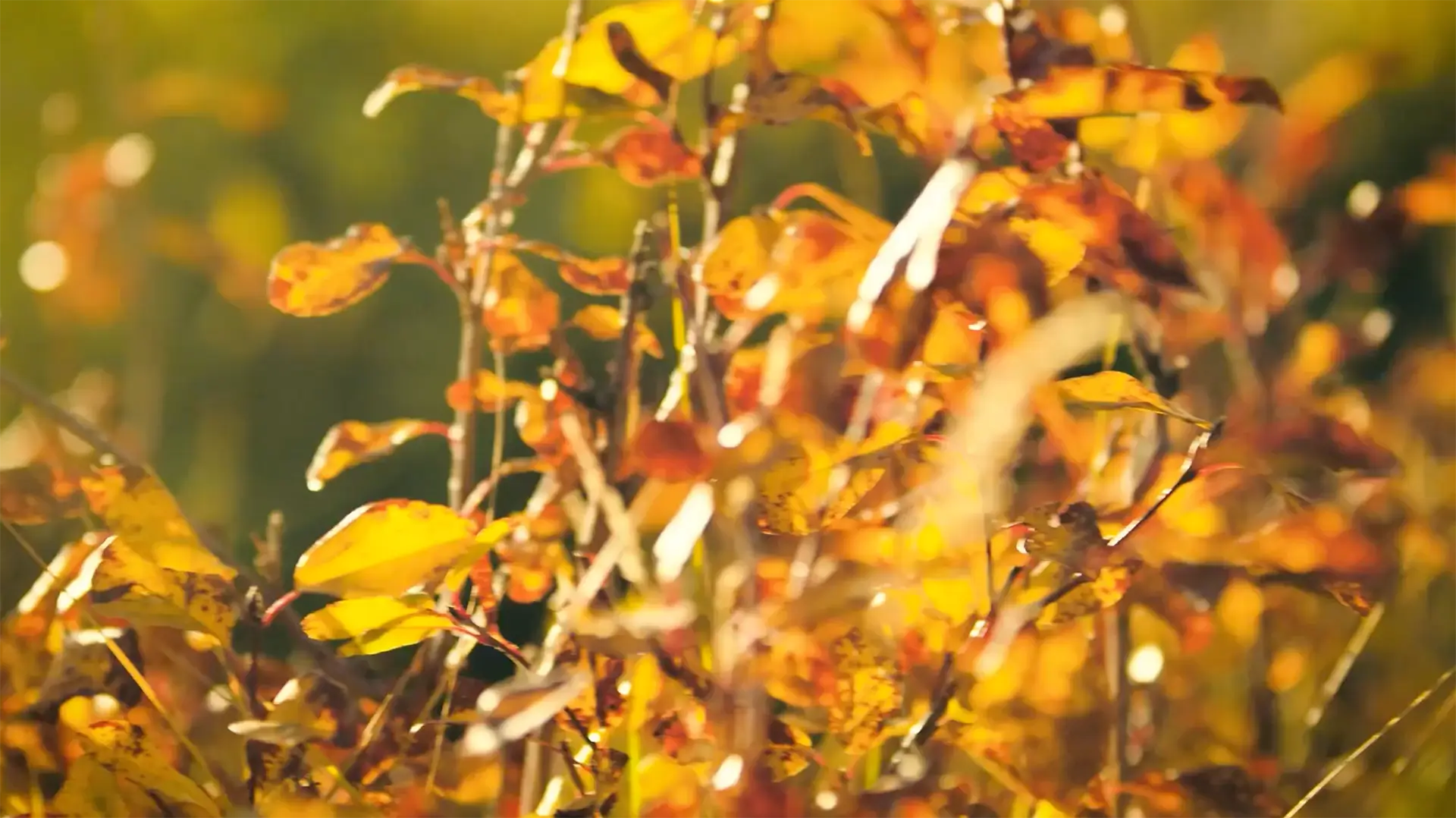 Outland team in field hero image