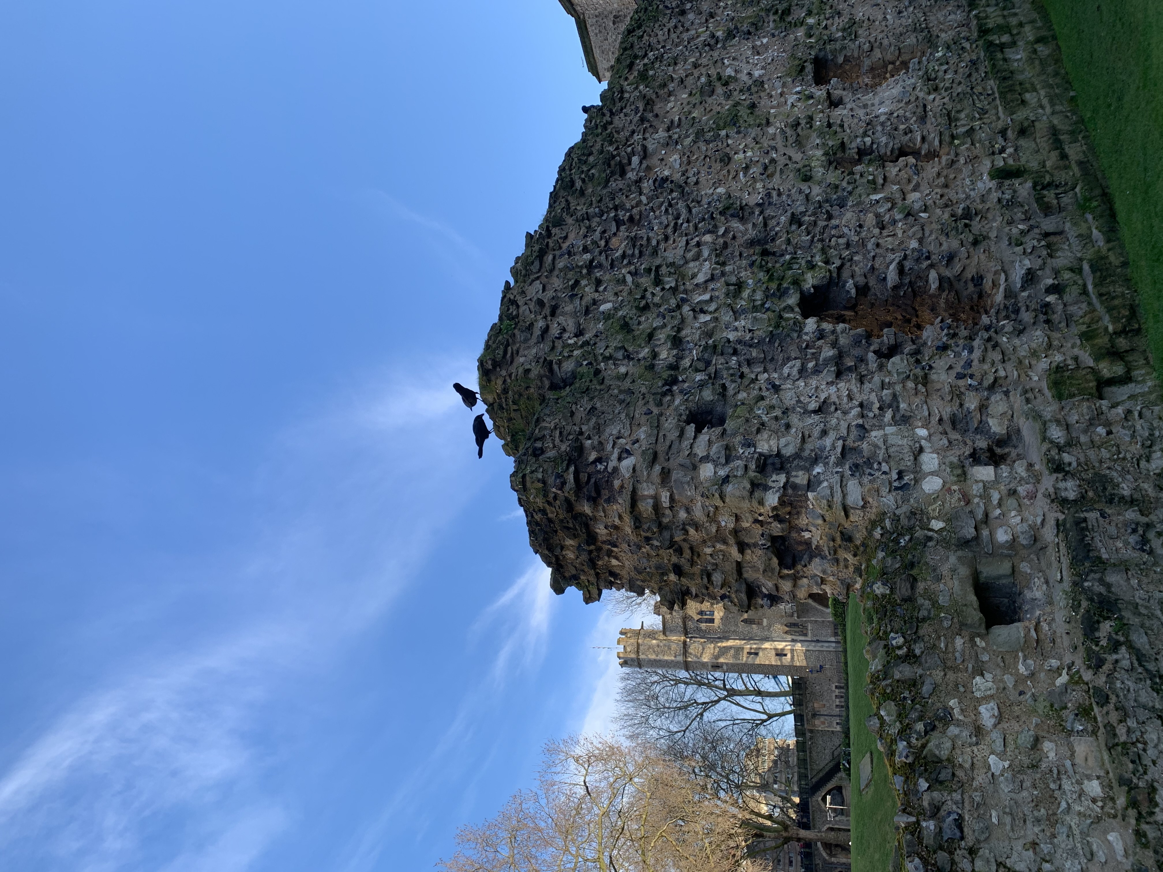 Two black birds perched atop an ancient stone wall with a tower and trees in the background.