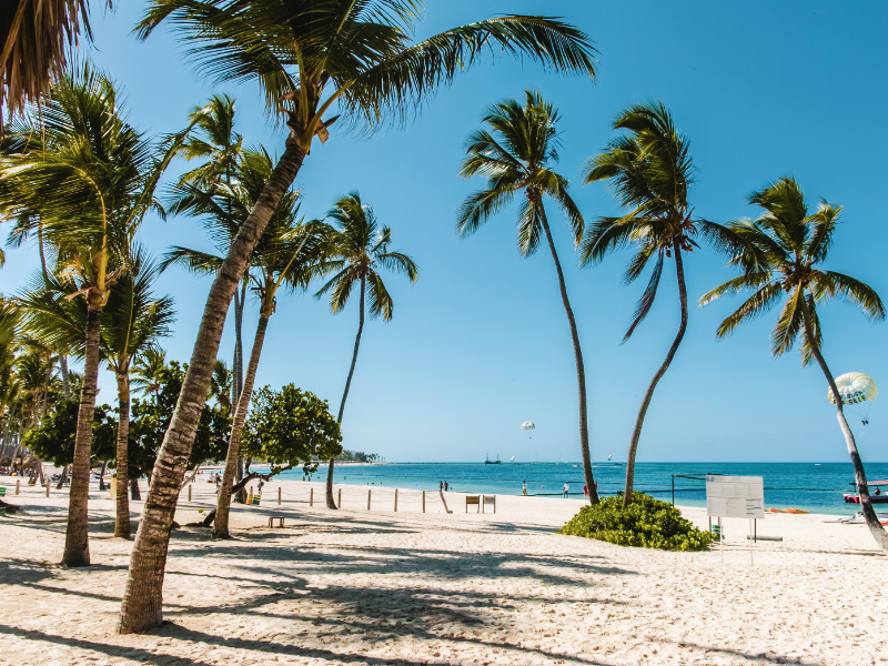 Sunny beach scene with palm trees, white sand, a calm ocean, and parasailers in the blue sky.