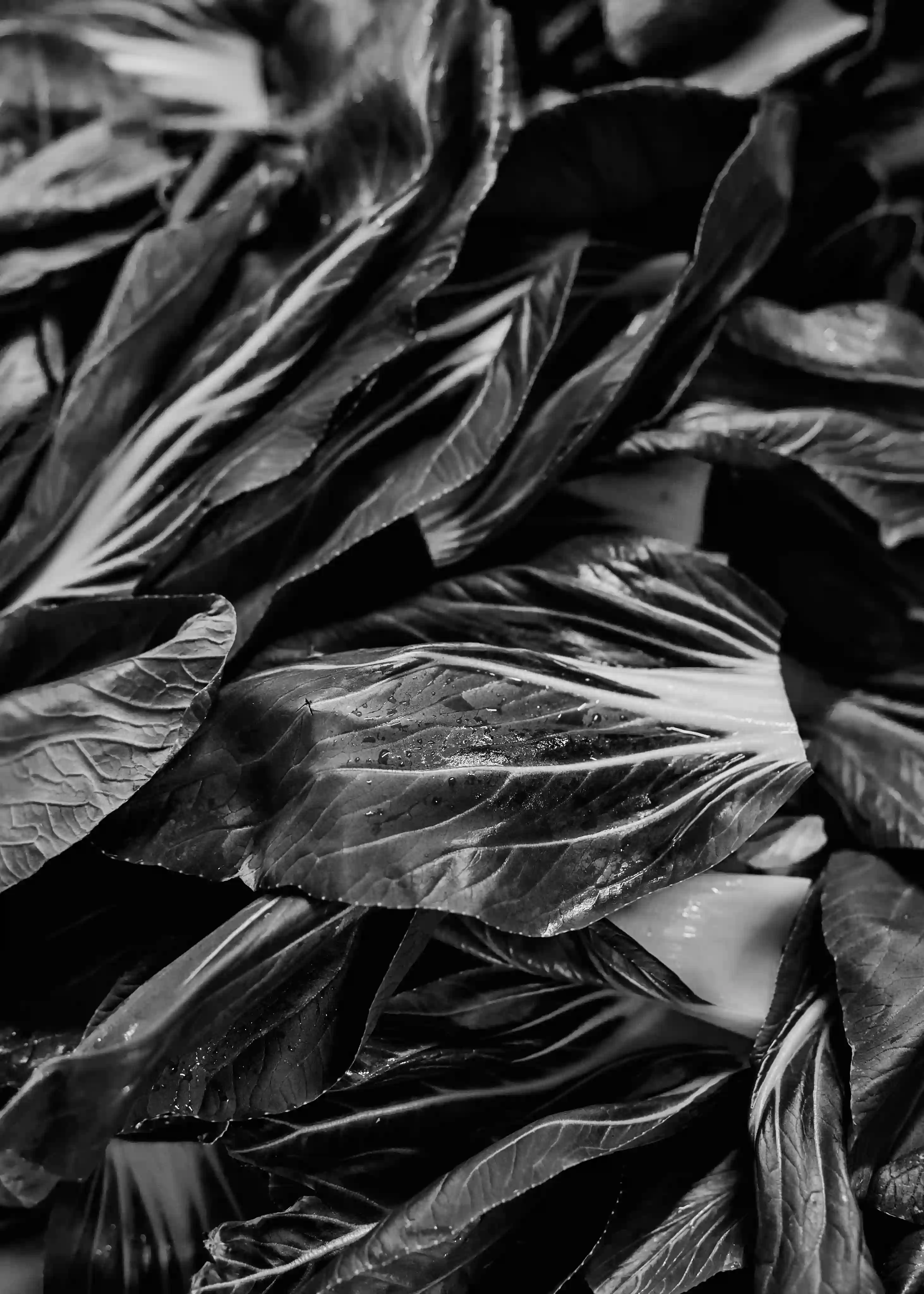 Contact presse - Groupe Potel et Chabot.