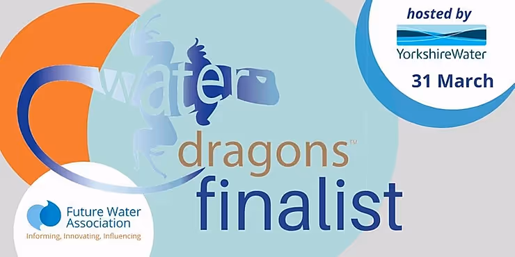 Water Dragons finalist poster